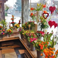 Blumen Gütlich