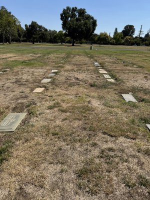 ALTA MESA FUNERAL HOME AND MEMORIAL PARK - Updated July 2026 - 45 ...