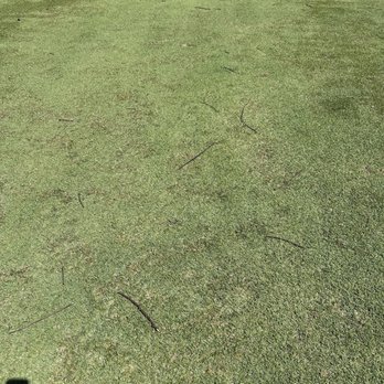 Rio Bayamon Golf Course - Fairways are perfect - Golf Near Me - Bayamón, Puerto Rico