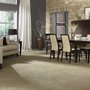 Photo of The Great Carpet Company