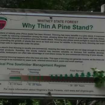 Whitney State Forest - I found this interesting to know. - Parks Near Me - Warrenton, Virginia