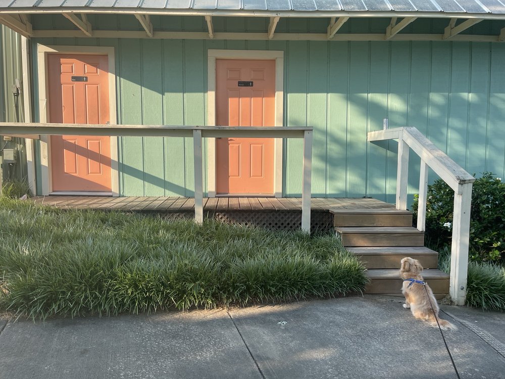 THE BOAT RACK Updated June 2024 24 Photos & 13 Reviews 7565 E Hwy