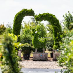Arcadia Nurseries - Arcadia Nursery