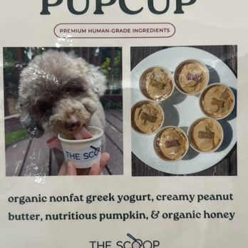 The Scoop - Ice Cream & Frozen Yogurt Near Me - Potomac, Maryland