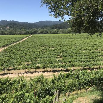 Wilson Winery - Wineries Near Me - Healdsburg, California Wilson Winery - Wineries Near Me - Healdsburg, California