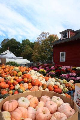 Boston Hill Farm by null