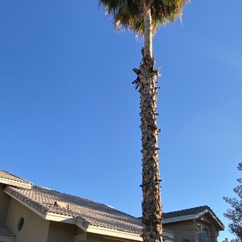 Desert Flower Complete Care - Before - Masonry/Concrete Near Me - Mesa, Arizona
