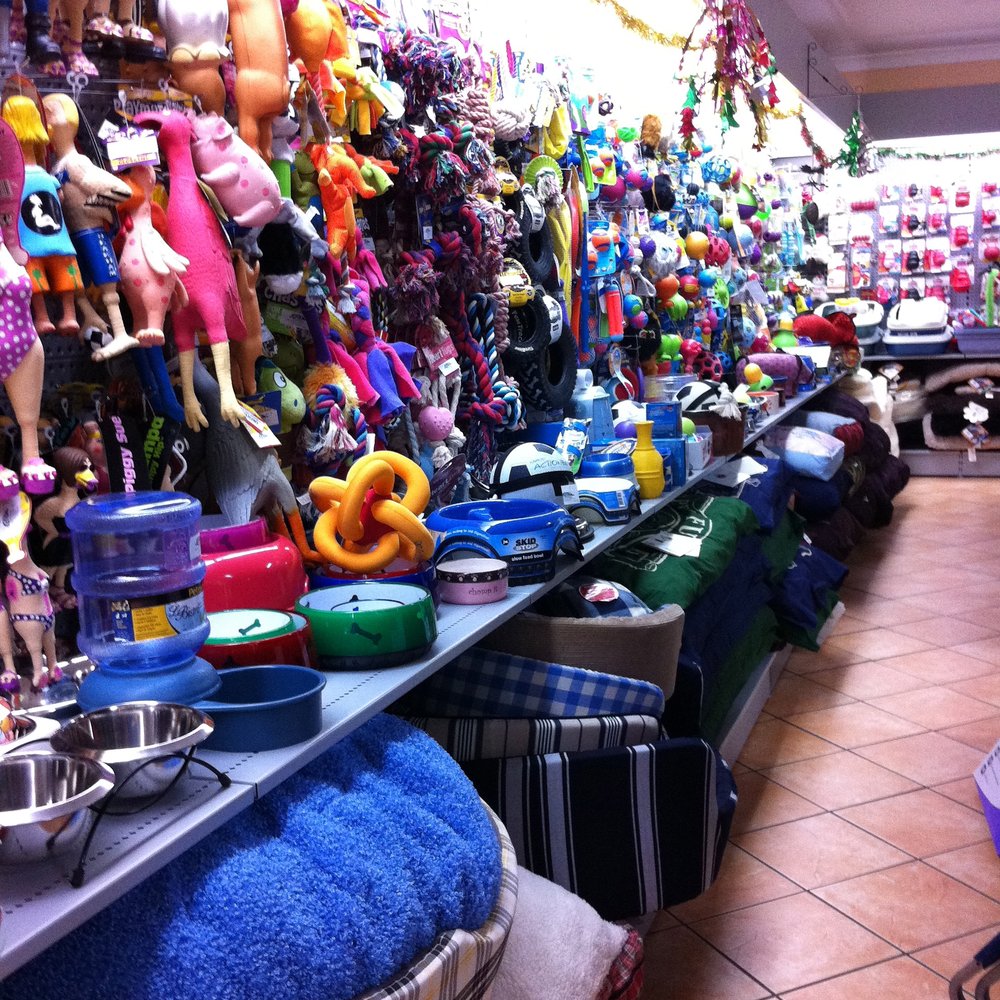 Pet Cafe - Pet Stores Near Me - Corinda, QLD