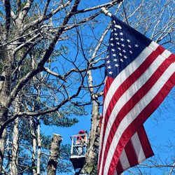 Turcotte Tree Service - Turcotte Tree Service in action Londonderry, NH