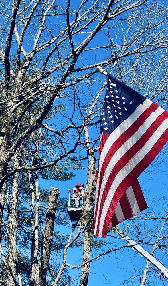 Turcotte Tree Service - tree service in Londonderry, NH