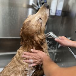 3rd Reef Pet Supplies and Dog Wash - Oh yea mom, that's the spot