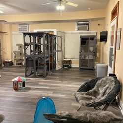 Almost Home Cat Rescue MKE - Cat room