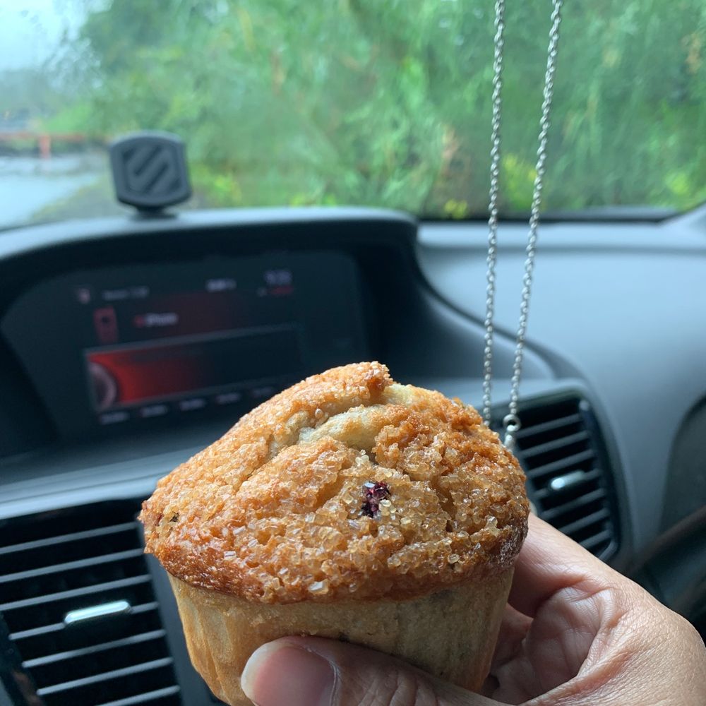 Kohala Coffee - Blueberry muffin - Coffee & Tea Near Me - Pāhoa, Hawaii Kohala Coffee - Blueberry muffin - Coffee & Tea Near Me - Pāhoa, Hawaii