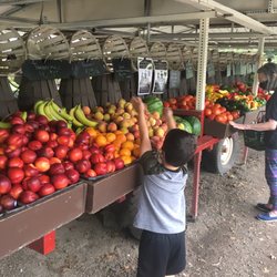 O & F Farms - Lots of fresh picked produce.