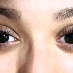 Orchid Rose Esthetics - Natural Cat eye using silk Mink