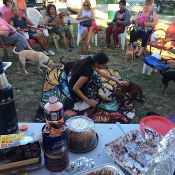 Sitters O Critters - Dog Walkers Near Me Sitters O Critters - Dog Walkers Near Me