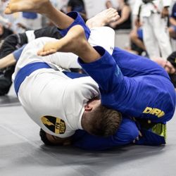The Way Martial Arts