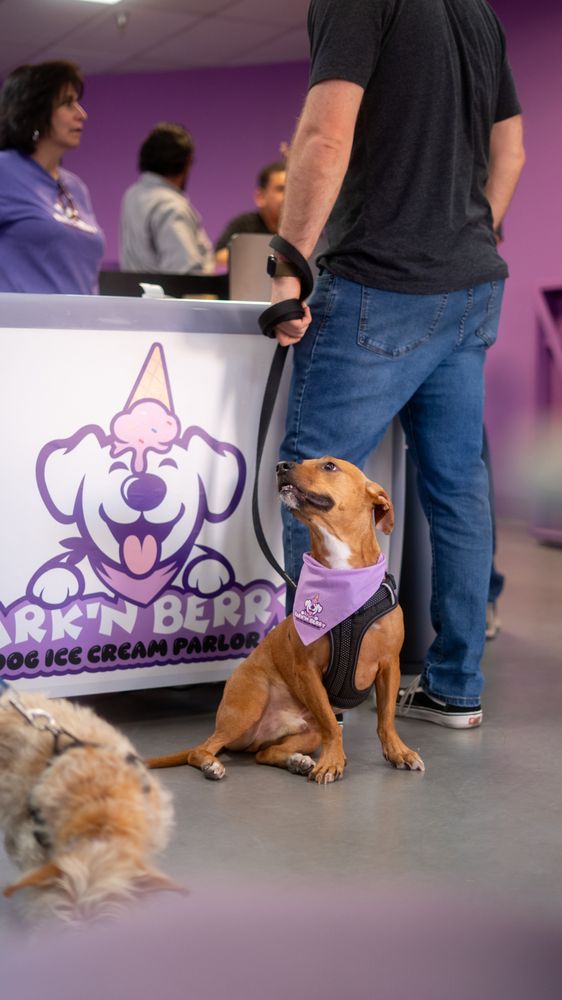 Bark 'N Berry Logo