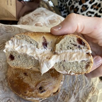 Manhattan Bagel - Blueberry Bagel with Strawberry Cream Cheese - Bagels Near Me - Clifton, Virginia Manhattan Bagel - Blueberry Bagel with Strawberry Cream Cheese - Bagels Near Me - Clifton, Virginia