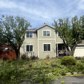 Samuel Ramirez Tree Service - Tree Services Near Me