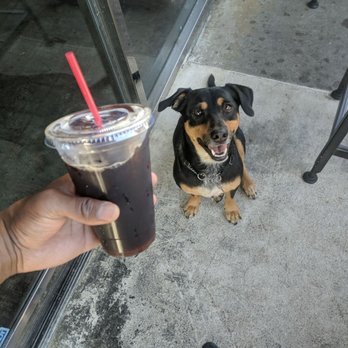 Fratelli Cafe - Ice coffee and Luna.....they're dog friendly and have plenty outdoor seating! - Coffee & Tea Near Me - Los Angeles, California Fratelli Cafe - Ice coffee and Luna.....they're dog friendly and have plenty outdoor seating! - Coffee & Tea Near Me - Los Angeles, California