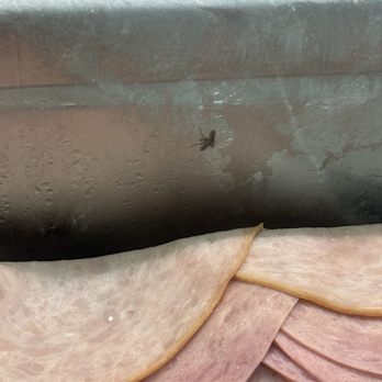 Subway - Bug frozen into the container - Sandwiches Near Me - Yorba Linda, California