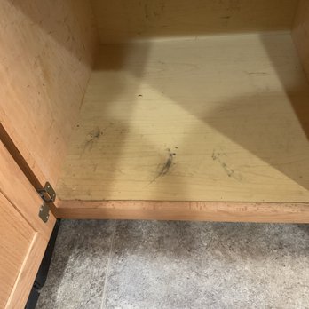 Merry Maids - Cabinets weren't wiped out. - Home Cleaning Near Me - Jeffersonville, Indiana Merry Maids - Cabinets weren't wiped out. - Home Cleaning Near Me - Jeffersonville, Indiana
