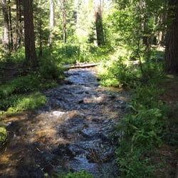 Last Chance Creek Campground - Last Chance Creek runs through the campground and is a cool spot on hot afternoons