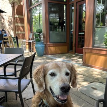 Pub By Novo - Waiting for his grilled chicken - Sports Bars Near Me - Bowling Green, Kentucky Pub By Novo - Waiting for his grilled chicken - Sports Bars Near Me - Bowling Green, Kentucky