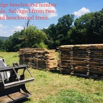 Best Price Tree Service - Tree Services Near Me - Hermitage, Pennsylvania