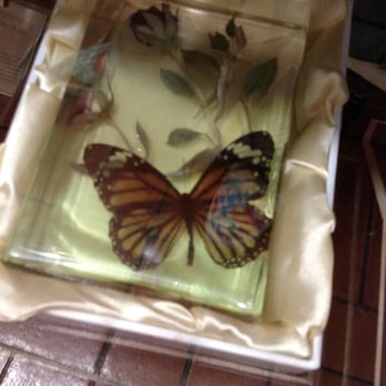 Raindance - Real Butterfly - Jewelry Near Me - Long Beach, California