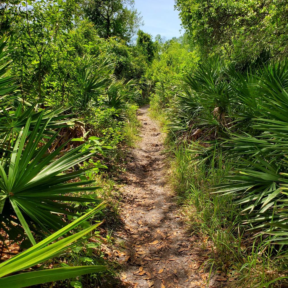 Serenova Tract - April 2020-- I'm unsure how this is considered "handicapped accessible." - Parks Near Me - Land O Lakes, Florida Serenova Tract - April 2020-- I'm unsure how this is considered "handicapped accessible." - Parks Near Me - Land O Lakes, Florida