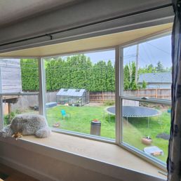 Bay window overlooking the backyard