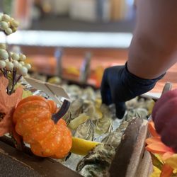 Shucking Awesome Traveling Oyster & Raw Bar