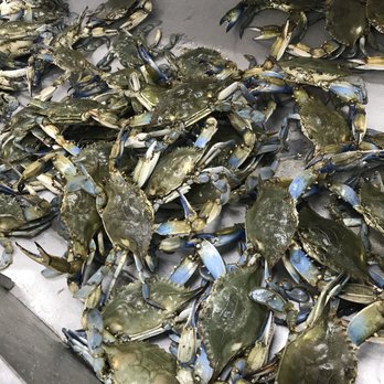 T H Seafood - a bunch of blue crabs - Seafood Markets Near Me - Seabrook, Texas