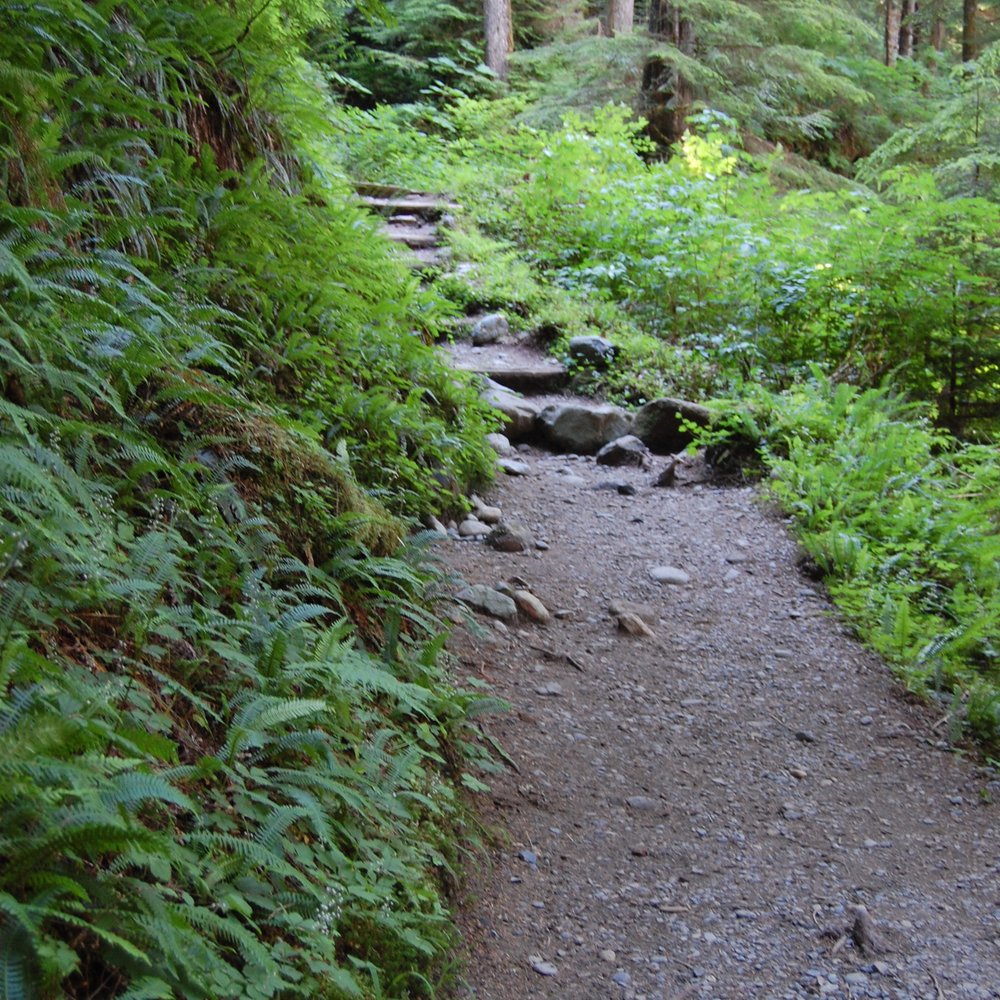 Lake 22 - Trail on Lake Twenty Two - Hiking Near Me - Granite Falls, Washington Lake 22 - Trail on Lake Twenty Two - Hiking Near Me - Granite Falls, Washington