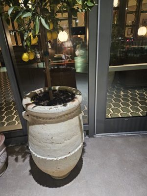 Dora Ristorante by null