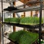 Photo of Dirty Dog Organics Farm