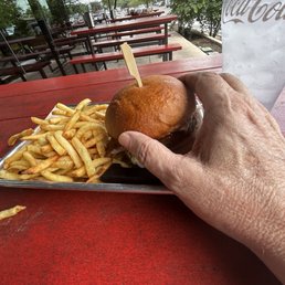 The buffalo bill burger with fries The buffalo bill burger with fries