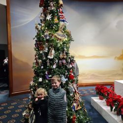 Mormon Temple Visitor Center - and the Festival of Lights - Beautiful Christmas tree & flowers #christmas #mormontemplevisitercenter # grandkids