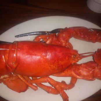 Howe's Bayou - 1 lb Lobster - Cajun/Creole Near Me - Ferndale, Michigan