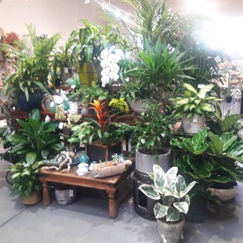 Blooming Vase - Florists Near Me - Burlingame, California Blooming Vase - Florists Near Me - Burlingame, California