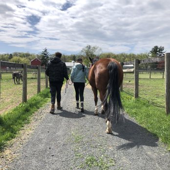 Rocking Horse Rehab - Learning to leadwalk during an Adaptive Riding session. - Physical Therapy Near Me - Basking Ridge, New Jersey Rocking Horse Rehab - Learning to leadwalk during an Adaptive Riding session. - Physical Therapy Near Me - Basking Ridge, New Jersey