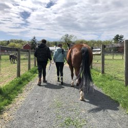 Rocking Horse Rehab - Learning to leadwalk during an Adaptive Riding session.
