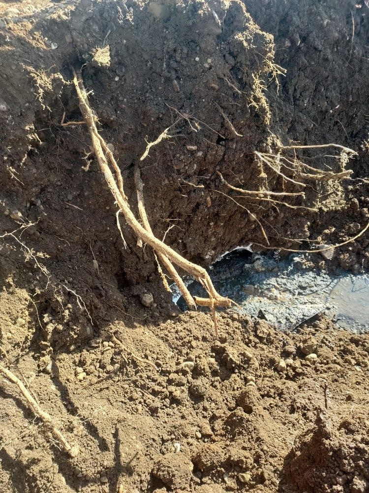 Slide of Empire Solution Contracting