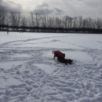 Miller Meadows Dog Park - Dog Parks Near Me - Forest Park, Illinois