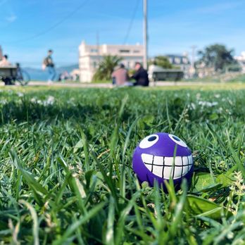Alta Plaza Park - Say cheese! - Parks Near Me - San Francisco, California Alta Plaza Park - Say cheese! - Parks Near Me - San Francisco, California