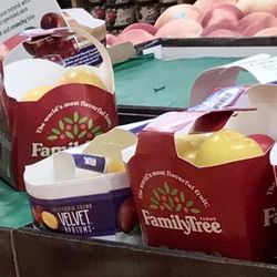 Family Tree Farms - Plums