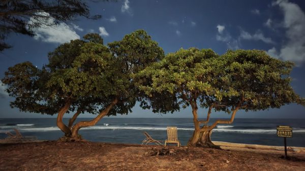 Kauai Shores Hotel by null