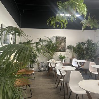 Plantoem - lounge - Cafes Near Me - Honolulu, Hawaii Plantoem - lounge - Cafes Near Me - Honolulu, Hawaii
